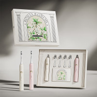 ApiYoo艾优电动牙刷成人家用声波震动电动牙刷软毛防水充电式男女通用 电动牙刷T12-A 新款