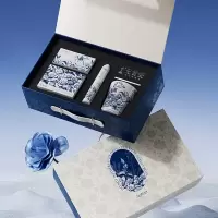 ApiYoo艾优电动牙刷便携式成人男士女款情侣软毛生日礼物套装 元首瓷联名款青花瓷礼盒T 19