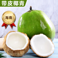 [熊猫鸟]海南椰青带皮 6个装 新鲜椰子 当季热带水果 汁水充沛