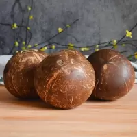 [熊猫鸟]海南椰皇 6个装 新鲜椰子 当季热带水果 汁水充沛