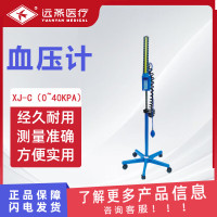 远燕 血压计 XJ-C(0~40kPa)立式水银血压计臂式手动血压测量仪仪器量血压器血压仪表 1台