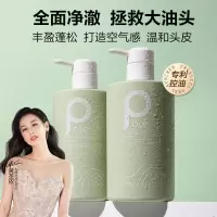 柏缇北非雪松控油蓬松洗发水 男女清爽留香氨基酸洗头露膏洗发露 控油 475ml*1瓶 北非洗发露