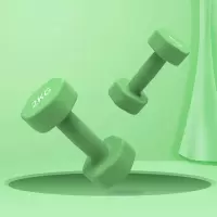 劳拉之星3052健身小哑铃健身家用塑形手臂浸塑六角哑铃男女儿童 2KG 均码