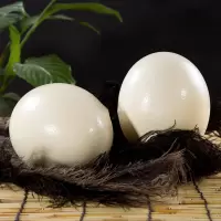 [熊猫鸟]顺丰快递 新鲜鸵鸟蛋 2.5斤/个 食用超大蛋可 鲜蛋送礼雕刻 大蛋