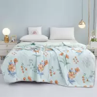 唐纳家纺 凉感冰爽被-冰绿 180*200CM- TN-SQ24022