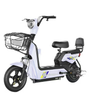 铸秦师 电动车 两轮/台