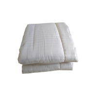 云启星 棉被 一级长绒棉 /条