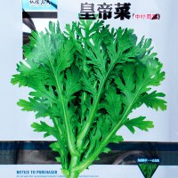 茼蒿种子 寿禾小叶茼蒿 250g/袋