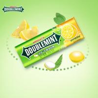 绿箭 无糖薄荷糖 冰柠薄荷味 23.8g约35粒/瓶 休闲零食糖果 清新口气 4盒