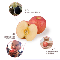 卜任舒 栖霞富士苹果约4.0kg(包装随机发货)