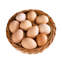申十一谷物鲜鸡蛋10枚鸡蛋+泡沫盒+稻谷壳(NM)(生鲜无质量问题不支持退换货)