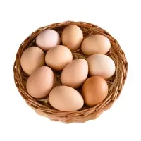 申十一谷物鲜鸡蛋20枚鸡蛋+泡沫盒+稻谷(NM)(生鲜无质量问题不支持退换货)