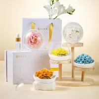 共禾京品 瓷花香氛礼盒 SZFICOM240009(蝴蝶兰-粉色)