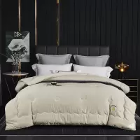 唐纳家纺 驱寒暖绒春秋被-卡其 200×230cm/2900g- TN-SAQ21026