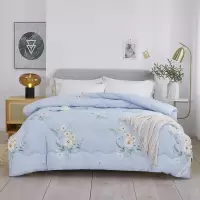 唐纳家纺 经典雅柔被-花间梦 200*230cm/2500g- TN-SAQ21036-1