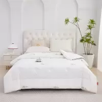 唐纳家纺 远红外恒温立体被 200*230CM/3000G- TN-SAQ24022