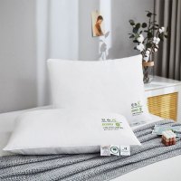 唐纳家纺 A类双效抗菌安心枕 48*74CM- TN-PC220121