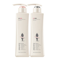 阿道夫 滋润修护洗护套装洗发水(轻柔丝滑)420ml+护发素(植萃精华)420ml