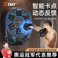 TMT 智能音乐拳击机成人家用墙靶解压反应靶散打搏击专业训练器材 附拳套GZNY-97