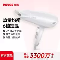 奔腾-电吹风PH9059