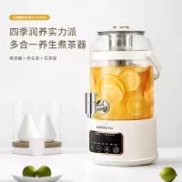 艾青春(AIYOUth)AI-YSH888 3升大容量养生壶(带滤网)