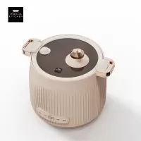 康宁/WORLD KITCHEN 1.6L微压电煮锅WK-GZG1612/KZ