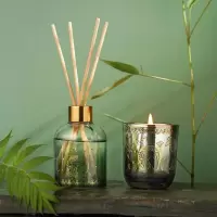 大英博物馆 盖亚安德森猫系列 香薰蜡烛无火香薰卧室 24节气夏至香薰礼盒