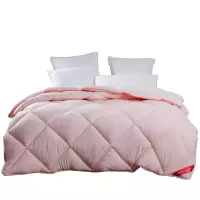 梦洁家纺悦享十孔 双人冬被(粉) 200*230 2000g