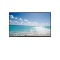 泰迪信 A24738NH66 23.8英寸1920*1080分辨率电子白板一体机 1 台