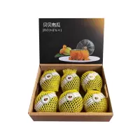 礼盒装[西沛生鲜]山东贝贝小南瓜 新鲜蔬菜 净重4.5斤 新鲜采摘 软糯香甜 营养丰富