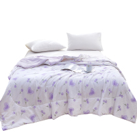 金丝莉艾香被 JB-1391 150×210cm(NM)