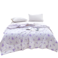 金丝莉(KINTHERI) 艾香被 JB-1390 180×210cm(NM)