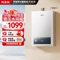 万家乐恒温王燃气热水器JSQ25-13P3 PRO(F)天然气一级恒温增压水伺服一级节能13升防冻