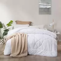 罗莱生活出品乐蜗LOVO家纺 芮享防螨春秋被200*230cm