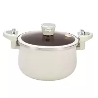 十八子作爱家微压炖锅HM -205 D G
