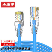丰应子 FYZ-WS21G 超五类非屏蔽蓝色成品网线5米