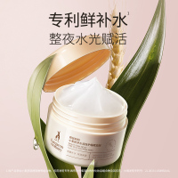 袋鼠妈妈 小麦睡眠面膜 舒缓神经酰胺免洗面膜化妆品 小麦睡眠面膜80g
