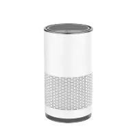 泰迪信 TDSBK01 车载空气净化器 1 个