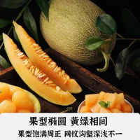 秋月梨(7头礼盒装)