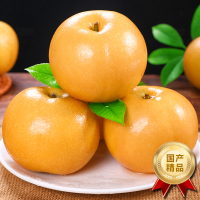[苏鲜生]新鲜山东秋月梨 净重2.5斤 中果 新鲜当季水果 现摘现发 甜蜜多汁