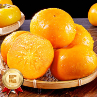 彩箱装[熊猫鸟]山西阳丰巧克力脆柿 新鲜水果 净重4.5斤 大果 当季黄甜硬柿子 脆甜新鲜