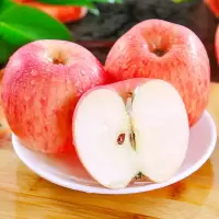 [熊猫鸟]陕西红富士苹果 净重2.5斤 脆甜可口 营养丰富 坏果包赔