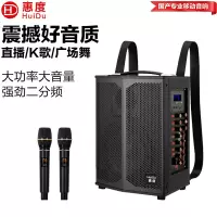 惠度(HuiDu)专业双数字直播OTG直播音箱立体环绕电视娱乐音响户外移动拉杆音箱