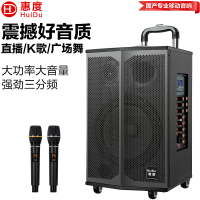 惠度(HuiDu)专业双数字直播OTG直播音箱立体环绕电视娱乐音响户外移动拉杆音箱
