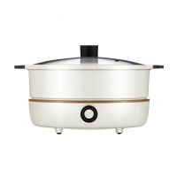 九阳分体式鸳鸯电火锅C21-HG3