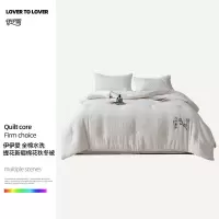 伊伊爱 全棉水洗提花新疆棉花秋冬被 新疆棉花白 200*230cm BZ0TDC2301136