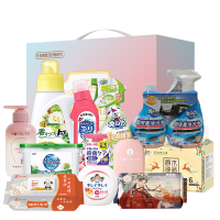 狮王家庭清洁11件套-SW250818005