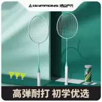 错山 羽毛球拍成人进攻单双拍耐用初学者进阶球拍(2拍3球+收纳袋) S-10