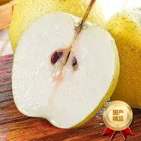 [西沛生鲜]河北精品雪花梨 新鲜水果 松脆多汁 净重4.7斤 单果300g以上