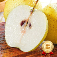 [西沛生鲜]河北精品雪花梨 新鲜水果 松脆多汁 净重8.7斤 单果300g以上